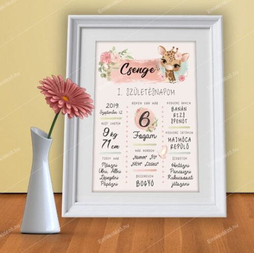 első születésnapi poszter, baba poszter, Emlékidéző Kép